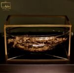 عود موري سوبر مرتفع (تولة) - الصورة 3